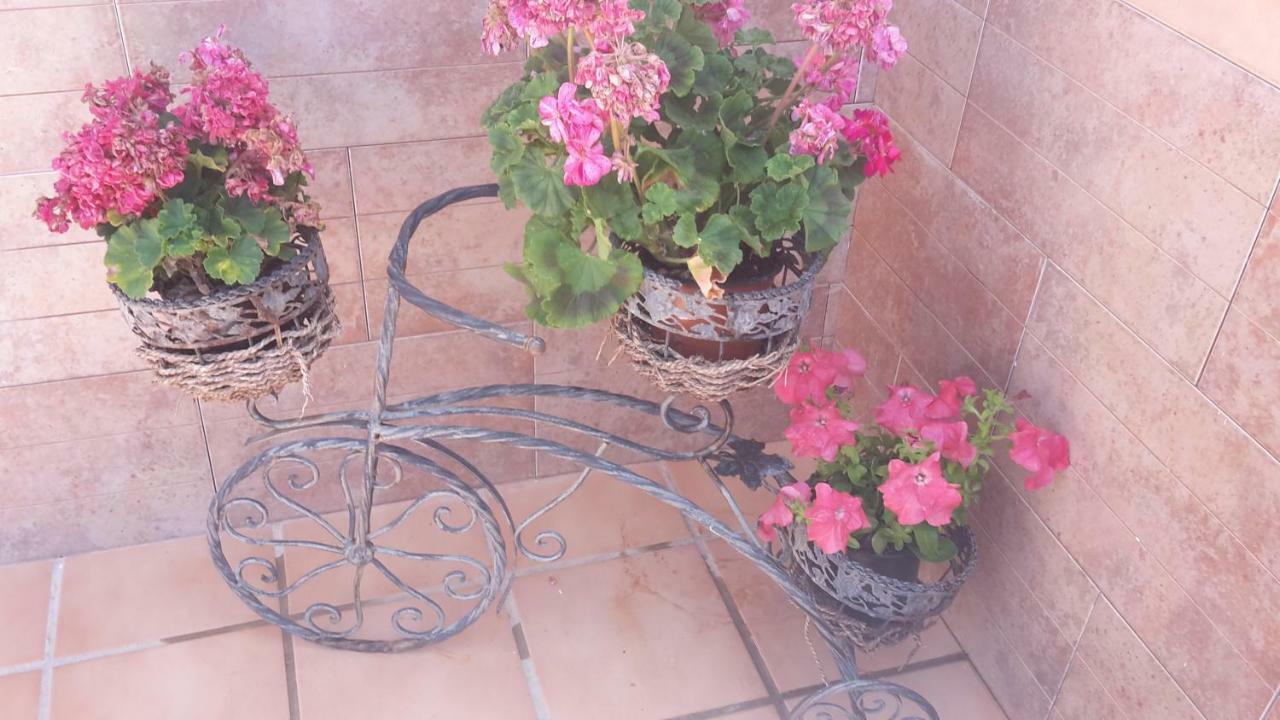 Appartement Bravo 24 à Fuengirola Extérieur photo